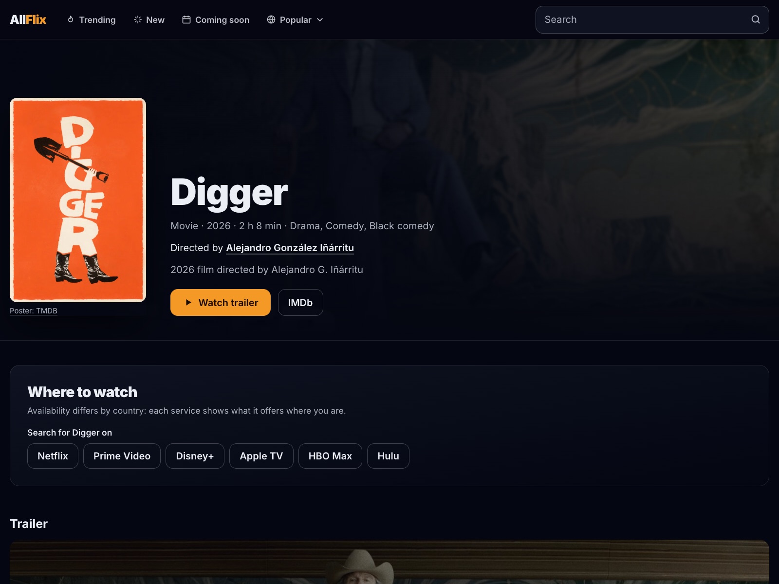 AllFlix screenshot 1